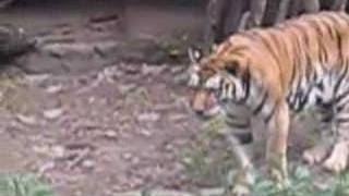 typecast - not about you