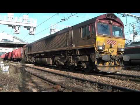 Euro Cargo Rail, Class 66 locomotive