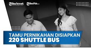 Tamu Pernikahan Kaesang Pangarep dan Erina Gudono akan Disiapkan 220 Shuttle Bus ke Lokasi Resepsi