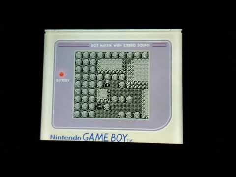 Unknown Glitch in Cerulean Cave