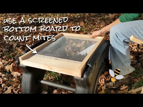 How (and Why) to Use a Screened Bottom Board