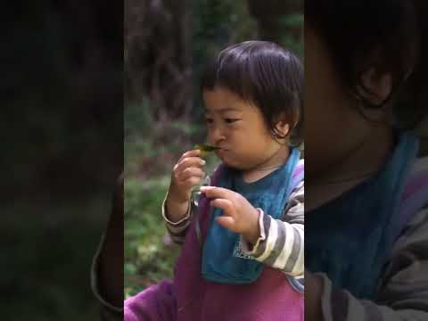 すぐに自分の果樹園を作るには、ポーチの真下にどの果樹を植えるべきでしょうか?  庭園
