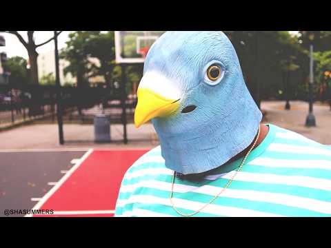Ima Bird (FULL VIDEO)