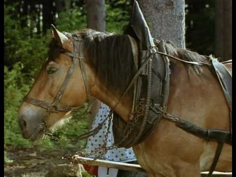 Frau Holle (1961) - Trailer