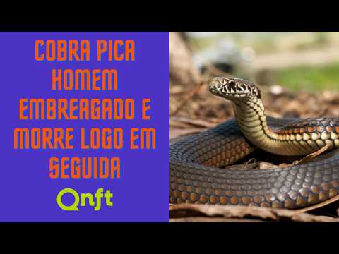 Uma Mistura Surreal de Notícias e Entretenimento: "Quem Não Faz Toma" Traz o Melhor da Rádio 89FM