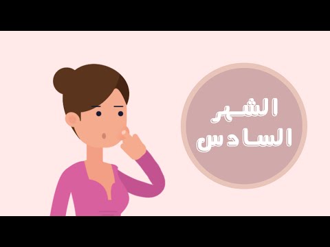 دليلك لتطور مراحل الحمل : الشهر السادس | Month six of your pregnancy هنا hana