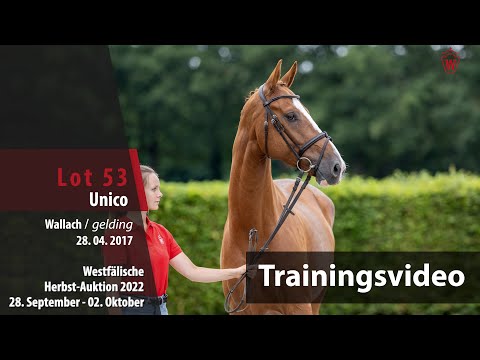 Herbst-Auktion Training Lot 53 Unico Wallach v. United Touch S - Lamoureux I