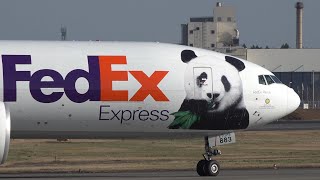 [CS] ¡Fedex Express Panda! - From Passenger to Cargo | 777-200ER | 8K  video