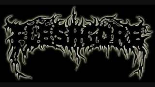 Fleshgore - Domain Of Death