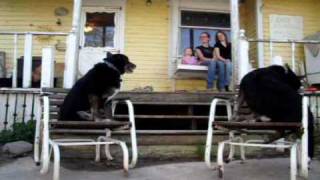 Pinback - Shag (Clones)