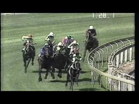 1990 Autumn Classic Stylish Century vs Zabeel