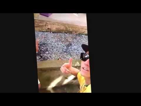 MC VK Do PR E MC LK Só Diretoria