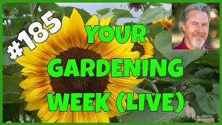 Planning for Seeds (Q&A)