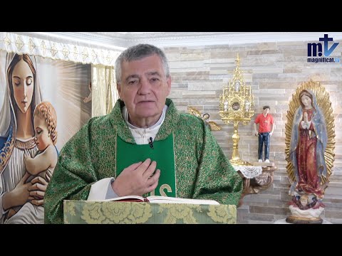 "Agradecer Te Salva" | Homilía: Domingo XXVIII Del Tiempo Ordinario (12-10-25) | P. Santiago M.