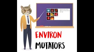 [Guide] Dealing with Environmental Mutators