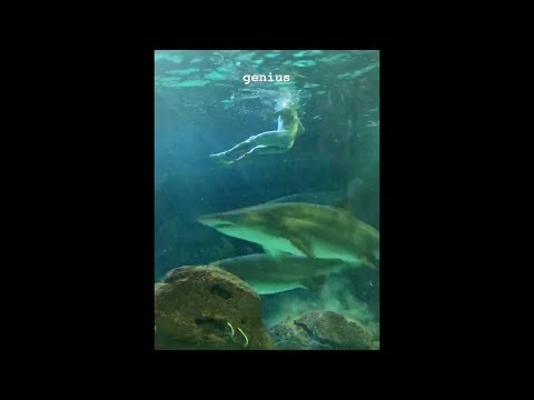 This Moron Decided To Skinny Dip In The Shark Tank At Toronto Aquarium