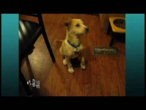 Feel Good Moment of the Day