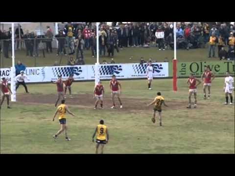SANFL 2013 Round 20 North Adelaide v Eagles Preview