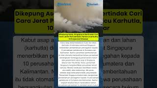 Dikepung Asap, Singapura Bertindak Cari Cara Jerat Perusahaan Pemicu Karhutla, 1