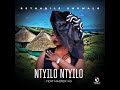 Rethabile Khumalo - Ntyilo Ntyilo feat  Master KG