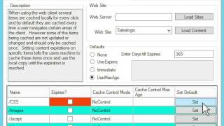 Infor CRM Performance Tool Demonstration