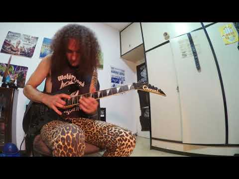 White Lion Wait Solo By Ofer Holan