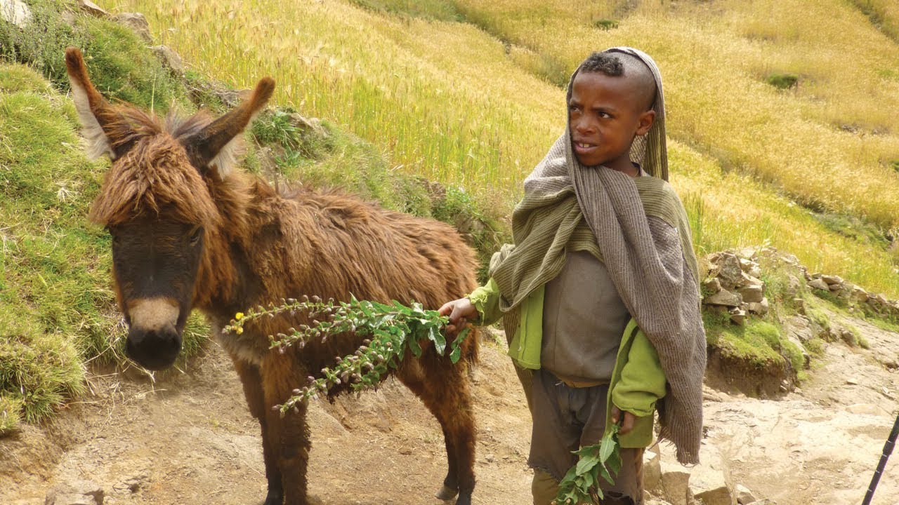 Ethiopia: Trekking & Culture | World Expeditions