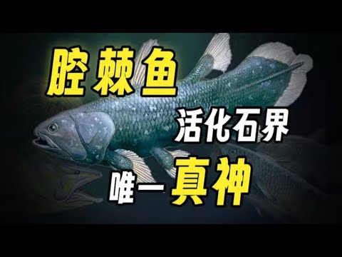 【鬼谷闲谈】腔棘鱼为何会被时间遗忘