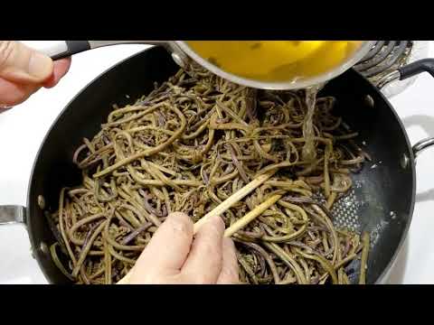 download lagu mp3 mp4 Bracken Fiddleheads, download lagu Bracken Fiddleheads gratis, unduh video klip Bracken Fiddleheads