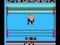 NES WCW World Championship Wrestling Single Lex Luger Two Match Sampler