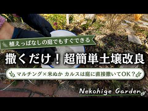 ねこひげガーデン様　 【2026年春前米ぬかを撒こう！】植えっぱなしの庭でも楽々♪掘らない土壌改良兼寒肥え／今年はバージョンアップ！マルチング×米ぬか×カルスncrでふかふか土作り／微生物を育てる庭づくり／不耕起栽培
