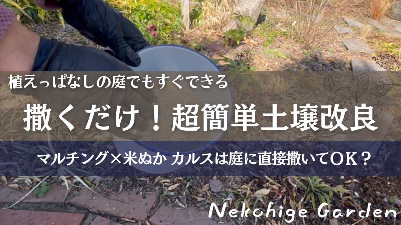 【2026年春前米ぬかを撒こう！】植えっぱなしの庭でも楽々♪掘らない土壌改良兼寒肥え／今年はバージョンアップ！マルチング×米ぬか×カルスncrでふかふか土作り／微生物を育てる庭づくり／不耕起栽培