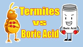 Does Boric Acid Really Kill Termites?  This is what you need to know.