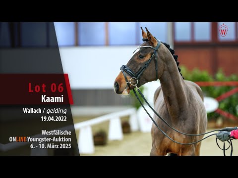 Youngster-Auktion Lot 06 Kaami Wallach v. Keaton I - Casall