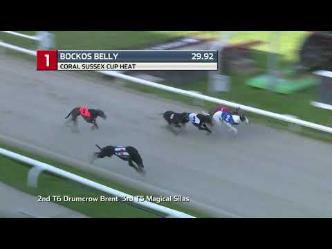 2021 SUSSEX CUP - HEAT 2 - T1 BOCKOS BELLY