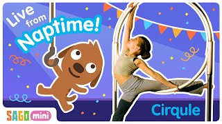 Mini Live from Naptime! Cirqule with Aria!
