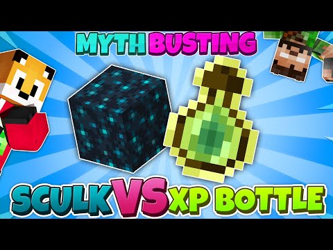 Myth Busting » Best XP Storage System?
