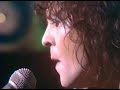 T.Rex "Celebrate Summer"  (stereo with lyrics)