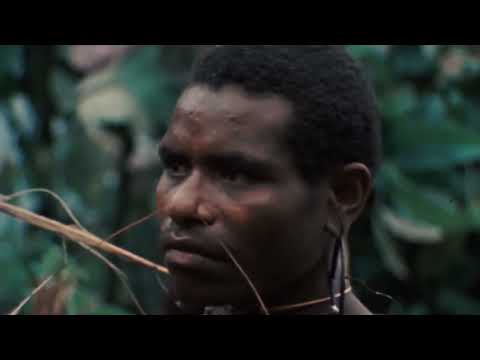 Patricia Majalisa -Human race