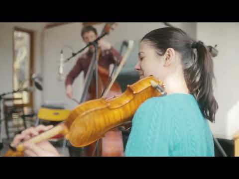 Wayward Jane - Liberty