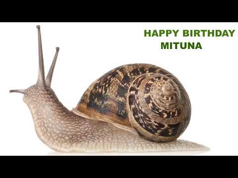 Mituna   Animals & Animales - Happy Birthday