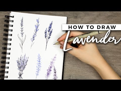 How to Draw Lavender Flowers! | DOODLE WITH ME + Tutorial!