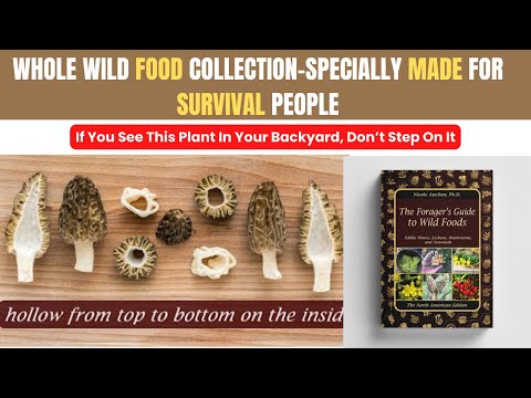 How To Make Long Storage Life Survival Food| Forager's Guide to Wild Foods By Nicole Apelian Review