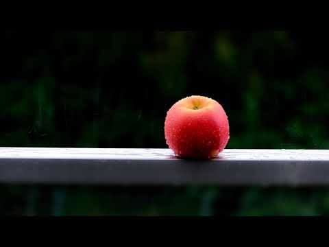 Соло дождя. Сергей Грищук. А дождь все льет/Rain solo. Sergey Grischuk. And the rain keeps pouring