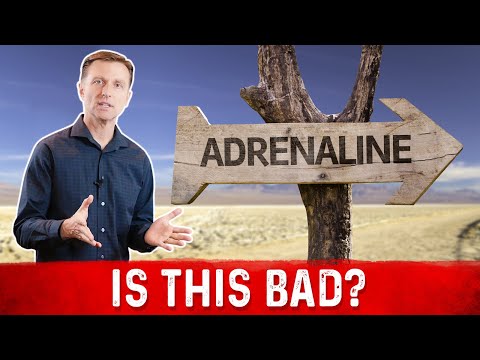 How to Overcome Adrenal Stress with Intermittent Fasting – Dr Berg