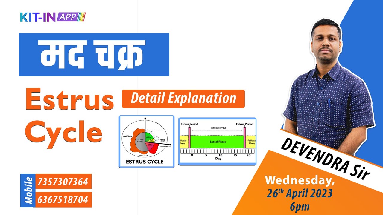 Estrus Cycle By  Dr. Devendra Sir || Estrus Cycle Question Solve