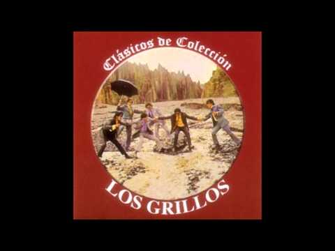 "Quieres que te de cariño"   LOS GRILLOS