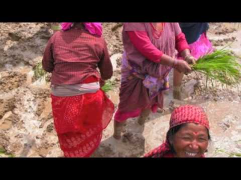 most popular song of 2009