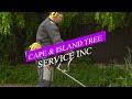 Landscaping Services Cape Island Tree Service INC