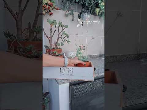 Miniatura de YouTube